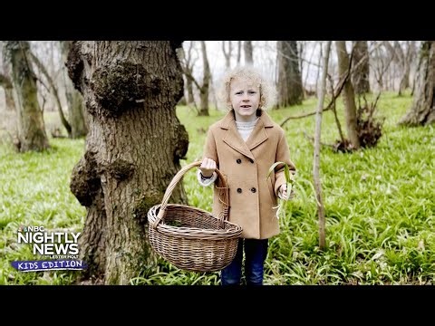 Learn all about foraging from 8-year-old expert Arthur! | Nightly News: Kids Edition