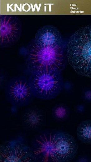 10 Exciting Facts About Microorganisms | KNOW iT