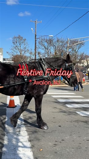 Avalon Chamber of Commerce on Instagram: "Festive Friday has been so much fun, and we still have two hours to go!✨#VisitAvalonNJ"