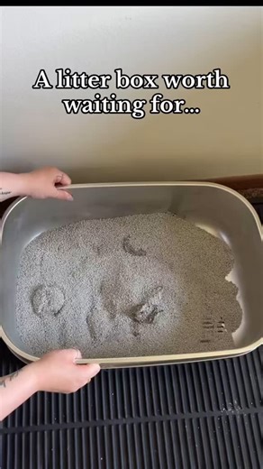 Cat Tips | Litter Box Tips | Cat Products & More…😺 on Instagram: "Comment… sifter to get a link for this sifting stainless steel litter box sent straight to your DMs! It is a super cool litter box solution to make your life as a cat owner easier 🙌🏻 #catsofinstagram #litterbox #catreels #catsvideo #litterboxsolutions #stainlesssteellitterbox #catlitterbox #cattips #catsdaily"