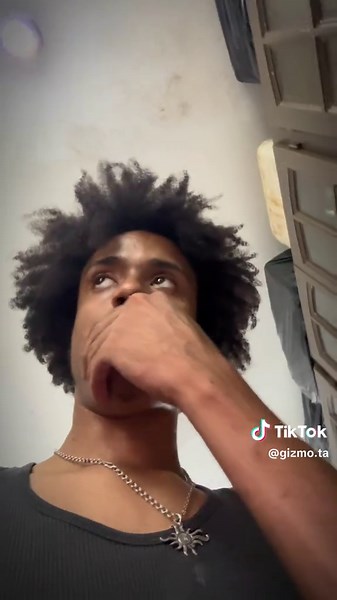 Cooking with Gizmo: Champion Lunch Ideas