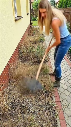 Easy Backyard Landscaping Ideas Anyone Can Copy