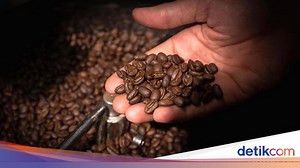 Mengenal Gourmet Coffee, Apa Ya Bedanya dengan Kopi Biasa?
