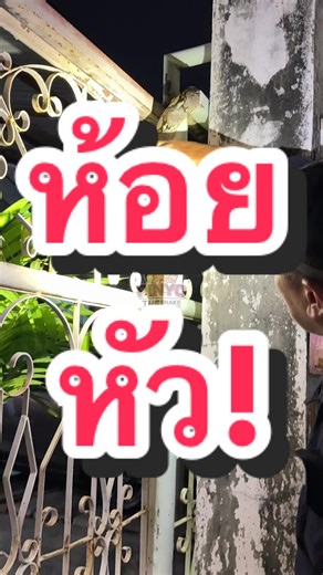 ไม่ต้องพูด 🐍🤓 #งูเหลือม #งูรัด #งู #จับงูมือเปล่า #snake