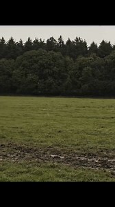 664K views · 8.7K reactions | The Day That Changed England Forever: The Battle of Hastings. The Battle of Hastings, fought on October 14, 1066, is one of the most important events in English history. It marked the end of Anglo-Saxon rule and the beginning of Norman conquest, reshaping the country’s culture, language, and governance. | Dark Ages History | Facebook