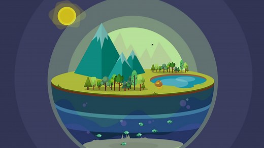 How do people affect the environment? - BBC Bitesize