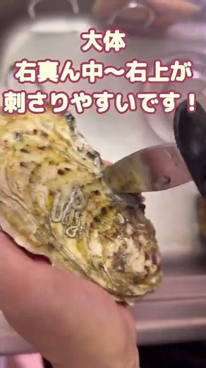【お家でも生牡蠣食べたい⭐︎簡単牡蠣の剥き方✨】#shorts #short #おつまみレシピ #簡単レシピ #生牡蠣 #牡蠣 #30代ママ #自己流 #ダイソー