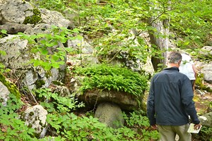 Little Known Swampscott Conservation Land is a Forest With Many Features