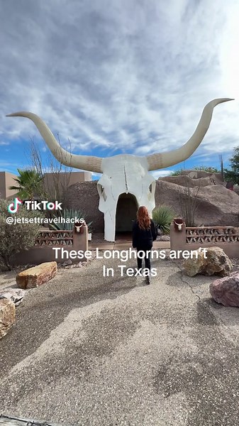 These big horns aren’t in Texas This is less than a hour from Tucson 📍Longhorn Grill and Saloon Amado Arizona