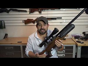 review daystate wolverine 303 hi lite