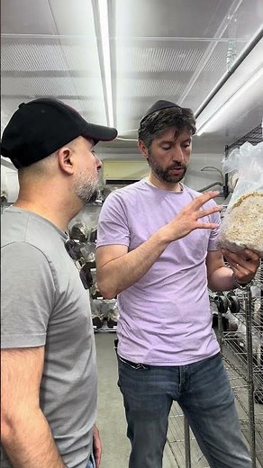 Understanding the Grain Spawn Inoculation Process