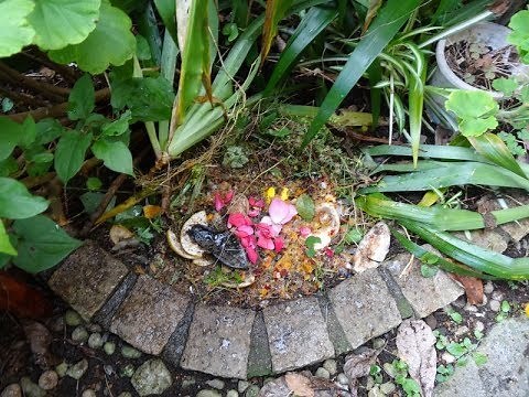 手作りの堆肥（簡単！道具も使わない）穴を掘るだけの自家製の堆肥作り