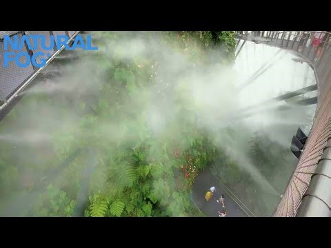 High Pressure Fogging System Cooling & Aesthetic Fog Effects Perfect for Outdoor Space & Greenhouses