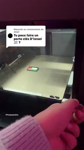 Réponse à @ZD69 #freepalestine🇵🇸❤️ #3d #imprimante3d #pourtoiii #palestine