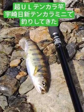 超ＵＬテンカラミニで釣りしてきた #フライ #釣り #テンカラ #がまかつ #天川村#TENKARA#鬼竿#Junna