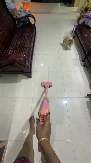 Wireless Vacuum Cleaner: A Day in My Life Vlog