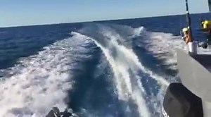 2.8K views · 57 reactions | Moreton Bay And Surrounds Sportfishing on Reels | Facebook