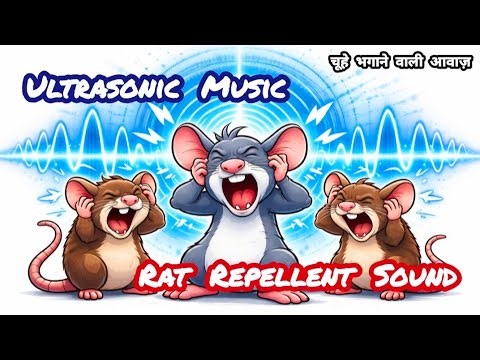 ⚠️ Ultrasonic Noise for Rats | Strong Effect | Mouse and Rat Repellent Sound 💥