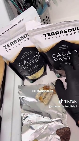 Magic Chocolate Mushroom Bars Recipe by Chef Space Coach