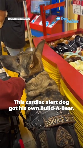 177K views · 2.6K reactions | This two-year-old cardiac alert dog creating his own Build-A-Bear is the cutest thing you'll see today 殺 https://gma.abc/3VGR2sx | Good Morning America | Facebook