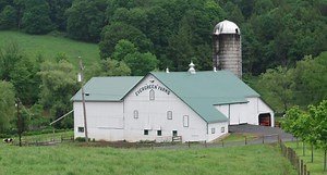 How is Milk Produced?