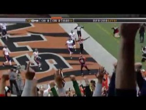 In Memory of Chris Henry