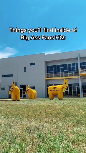 Inside Big Ass Fans HQ: Unique Office Tour