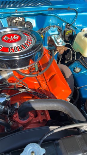 Jason Davis on Reels