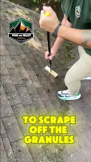 Moss on your shingles?