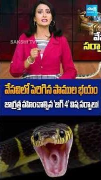 Snakes Entering Homes in Summer? Shocking Kerala Incident Sparks Fear!‪@SakshiTVDigital‬