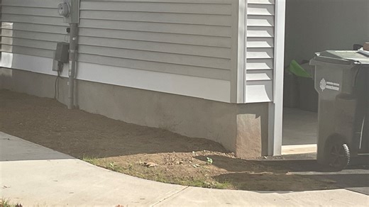 End in sight for crumbling concrete crisis?