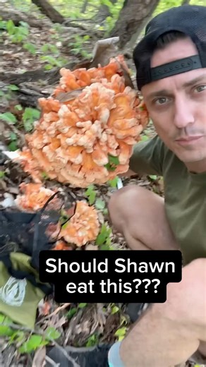 Shawn out in his Padded Room…should he eat this??