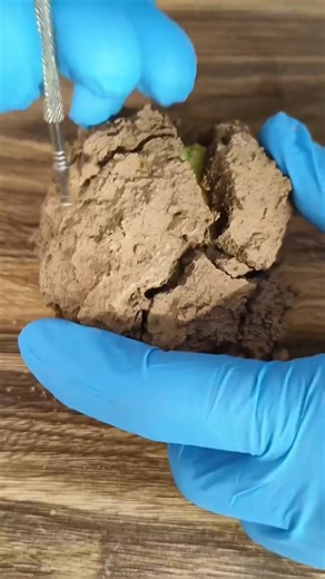 Mystery Object found from dust.. The Reveal Shocked Me! 😱
