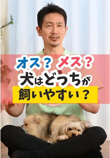 みんなはオス派？メス派？どっちが飼いやすいとかあるの？#ドッグトレーナー #犬好きと繋がりたい #犬のしつけ #犬のいる暮らし #犬のいる生活