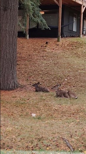 Pop goes the World 🎶😅