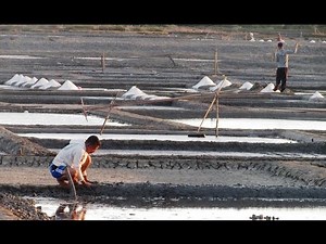 Proses Pembuatan Garam Dari Air Laut