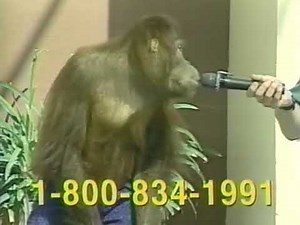 Wild About Animals (2000) Television Commercial - VHS