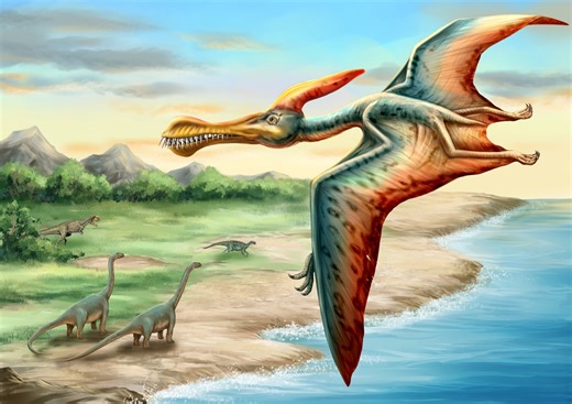 The Poozeum is a museum of fossilized poo