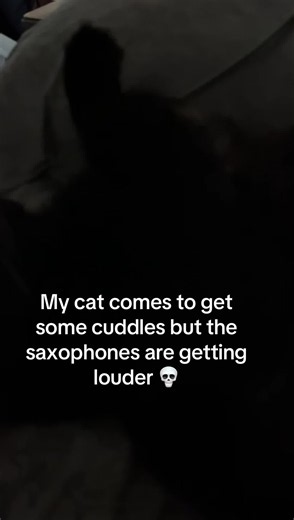 Cat Reacts to Loud Saxophone — Funny Possum Moment