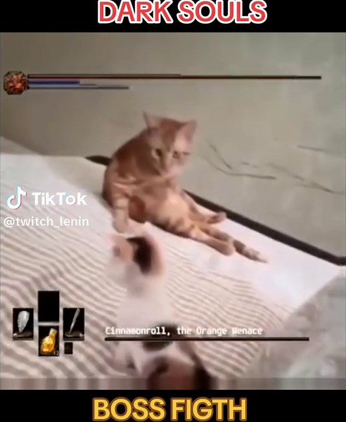 Elden Ring and Dark Souls Boss Fights Compilation