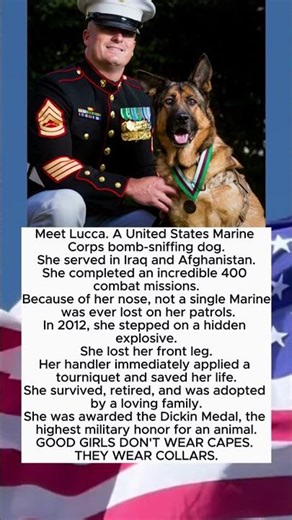 SHE COMPLETED 400 COMBAT MISSIONS🐕🪖