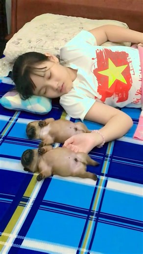 3 chị em cưng quá đi thui🥰🤭 | Đảo Chó