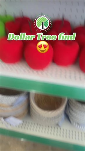 Dollar Tree Wall Decor & Craft Finds