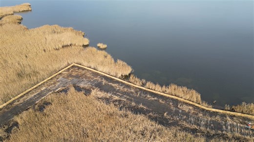 16K views · 43 reactions | Spartina patens and Spartina alterniflora planted as part of a DNR-funded living shoreline project. | Maryland Department of Natural Resources | Facebook