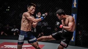 The Beginner’s Guide To Leg Kicks In MMA