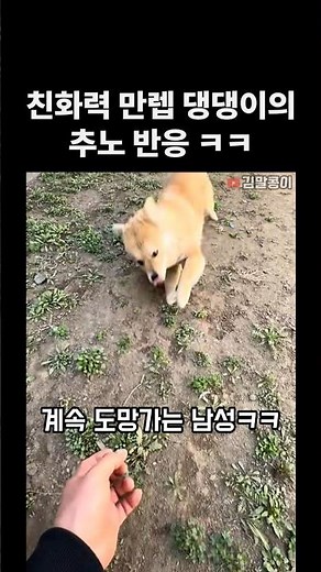 친화력 만렙 댕댕이의 추노 반응 ㅋㅋ