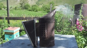 Old beekeeper smoking pot standing on the hives. Nature background