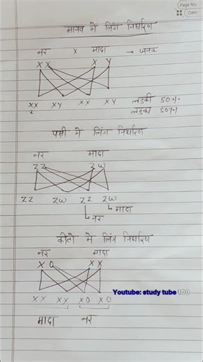 class 12 biology imp questions (23/02/2026) #class12biology #shorts