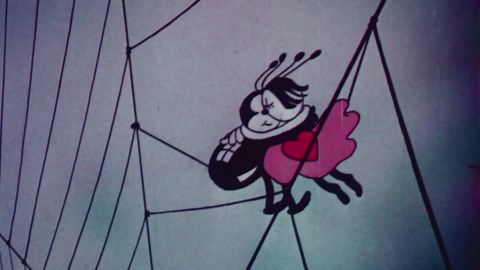 Is Every Spider Web Unique?