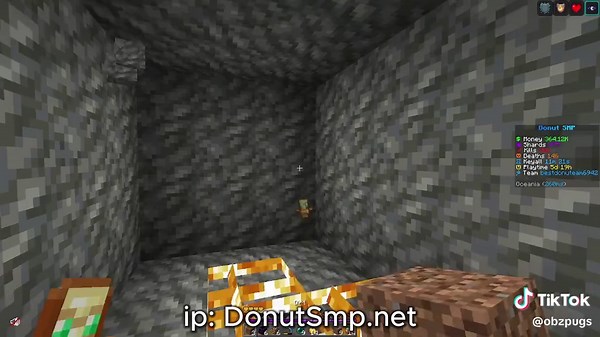 Fastest Way to Mine in Donut Smp - Tips & Tricks